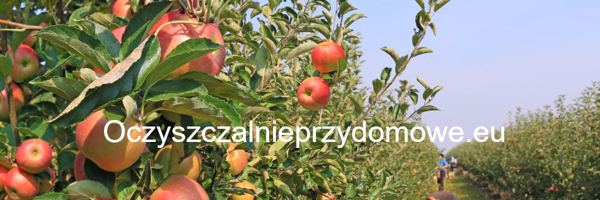 oczyszczalnieprzydomowe.eu